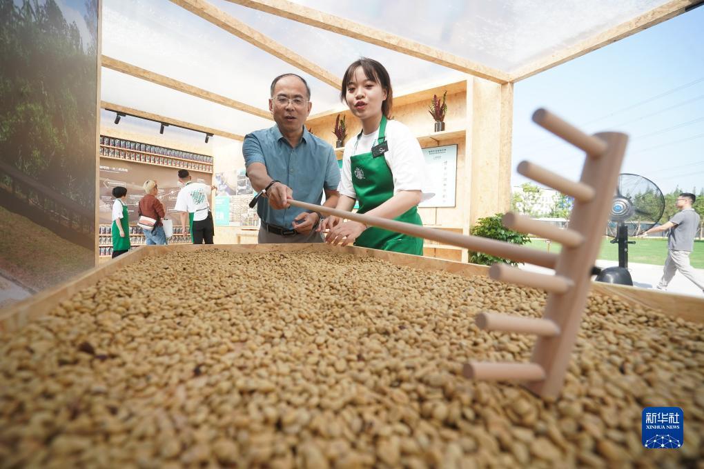 集结号官网登录